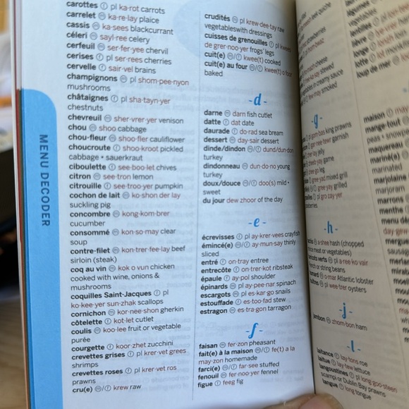 Lonely planet - two books, one French and one Italian translations help - Picture 7 of 8